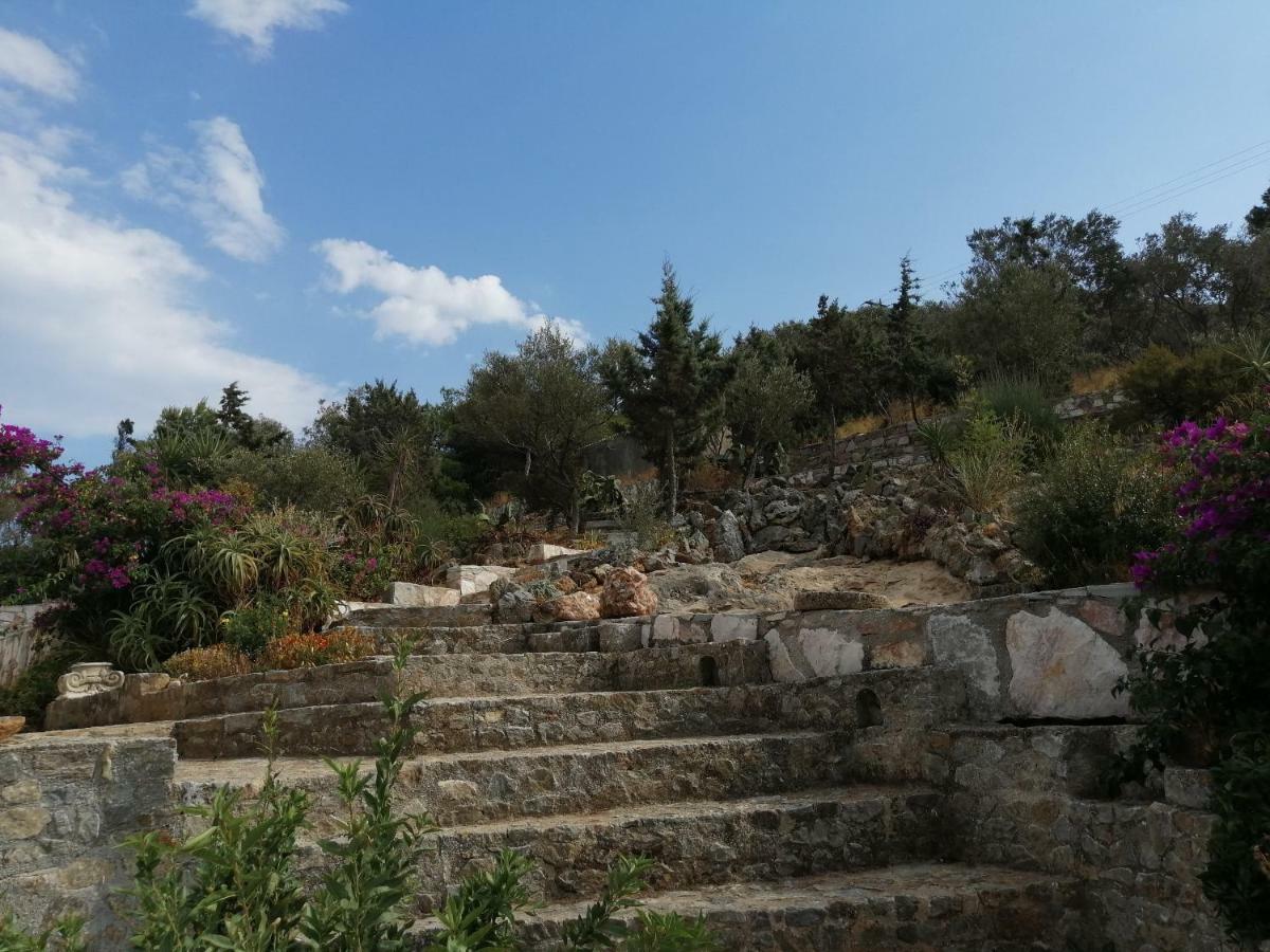 Artemis Villa Near Athens Airport Markópoulon Exterior foto
